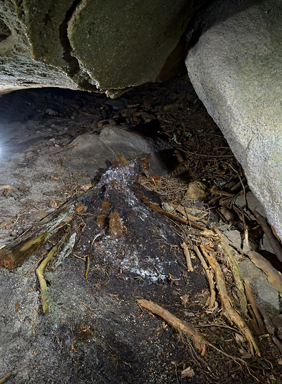 Koenov stalagmity - men formt
