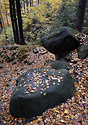 Autumn in rocks - main link