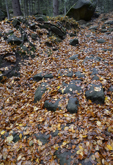 Autumn in rocks - smaller format