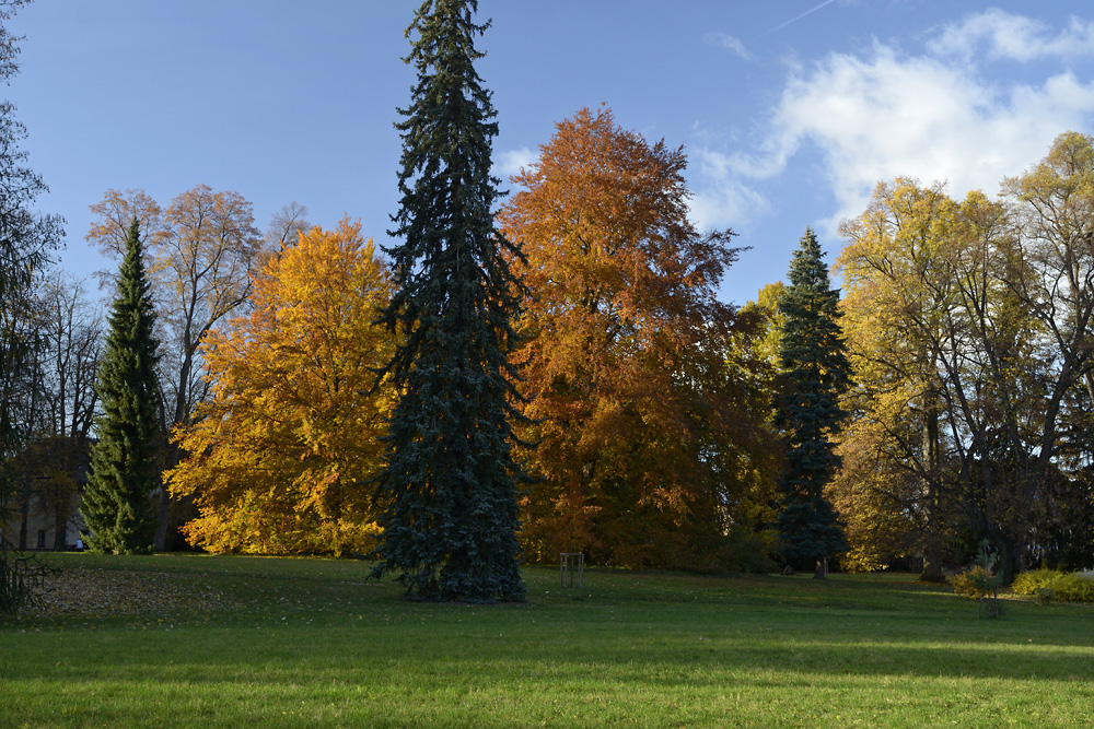 In the park - larger format