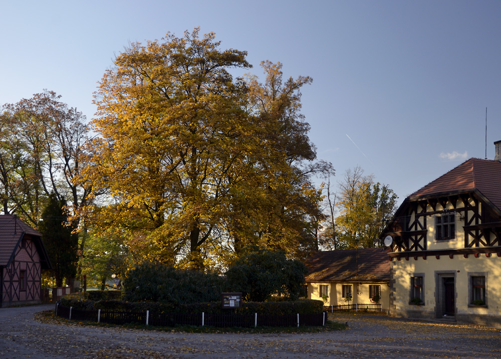At the stud farm - larger format