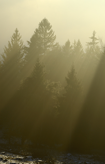 Towards evening - smaller format