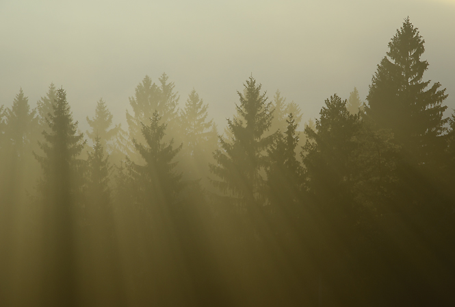 Towards evening - smaller format