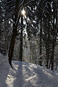 On the path - main link