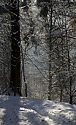 On the path - main link