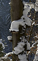 Over the valley - main link