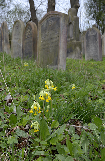 Tombstones - smaller format