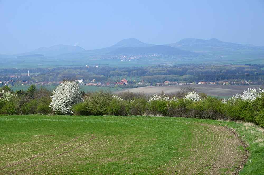 Kopce - vt formt