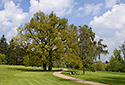 In the castle park - main link