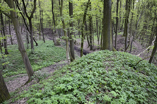Earthwork - smaller format
