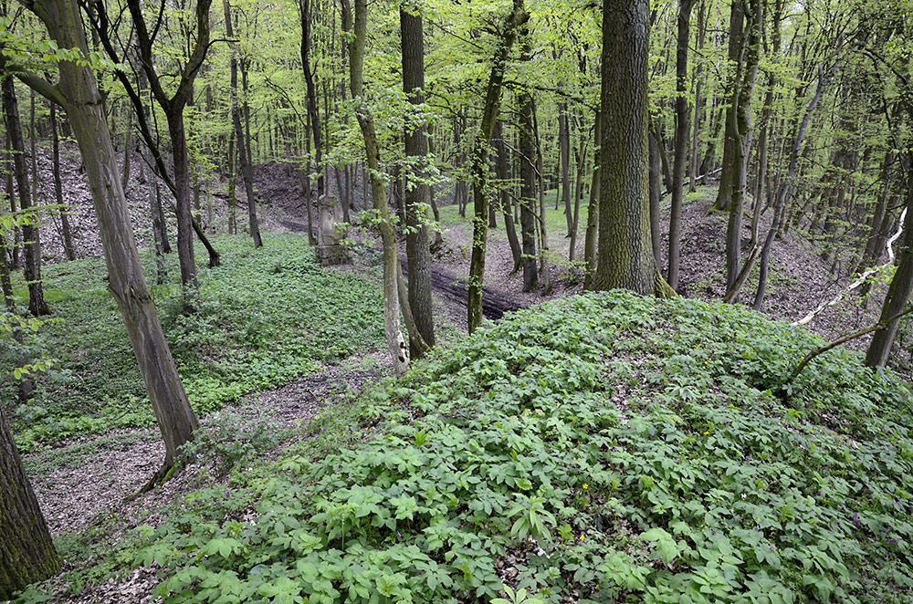 Earthwork - larger format