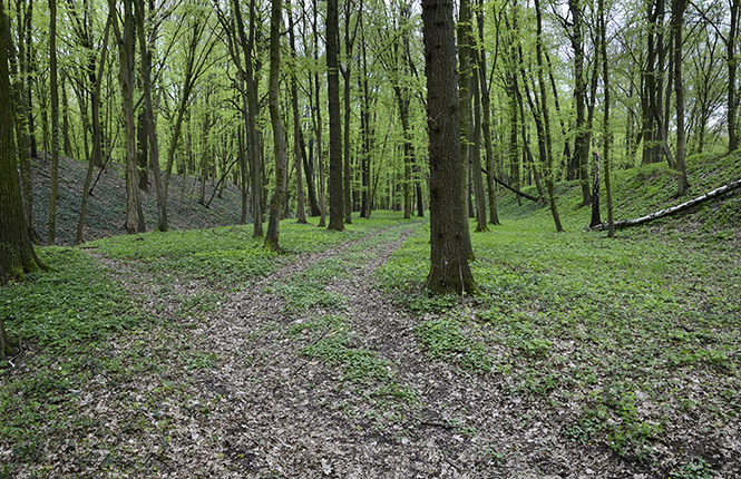 Earthwork - smaller format