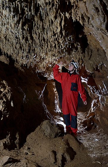 In the 1st "Nmec cave" - smaller format