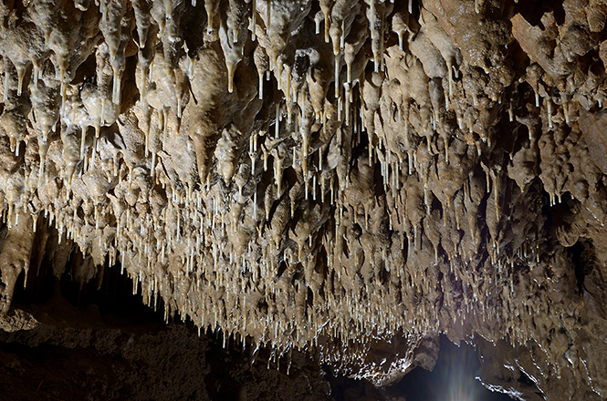 In the 1st "Nmec cave" - smaller format