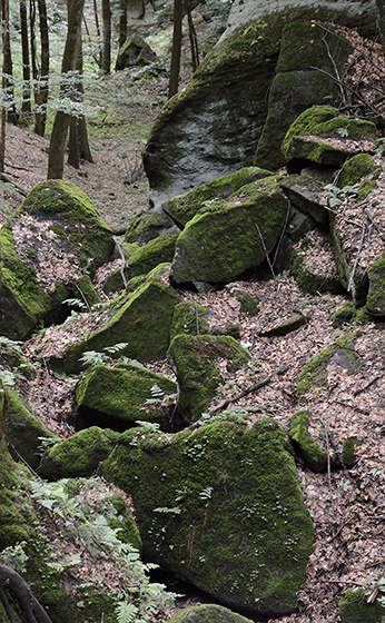 In the "Rough Gorge" - smaller format