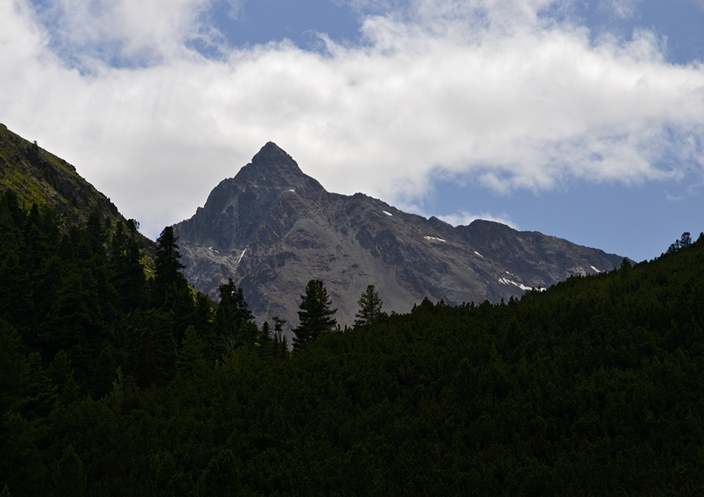 Piz Languard - vt formt