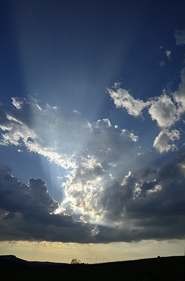 Rays - smaller format
