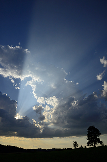 Rays - smaller format