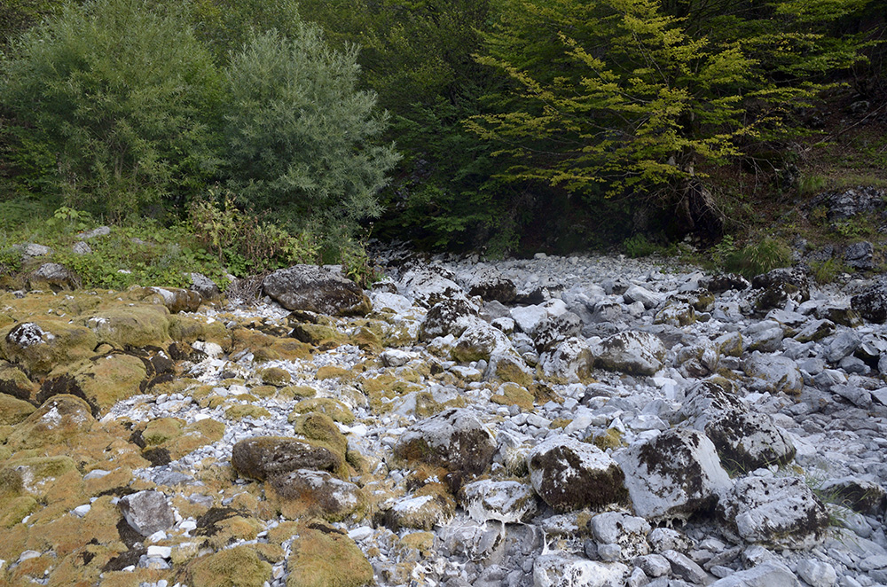 Tributary - larger format