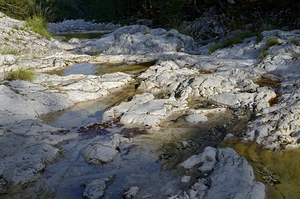 On the creek - larger format