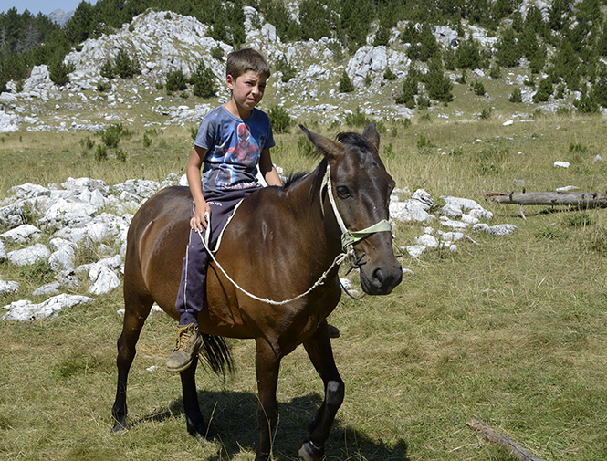 Cowboy - smaller format