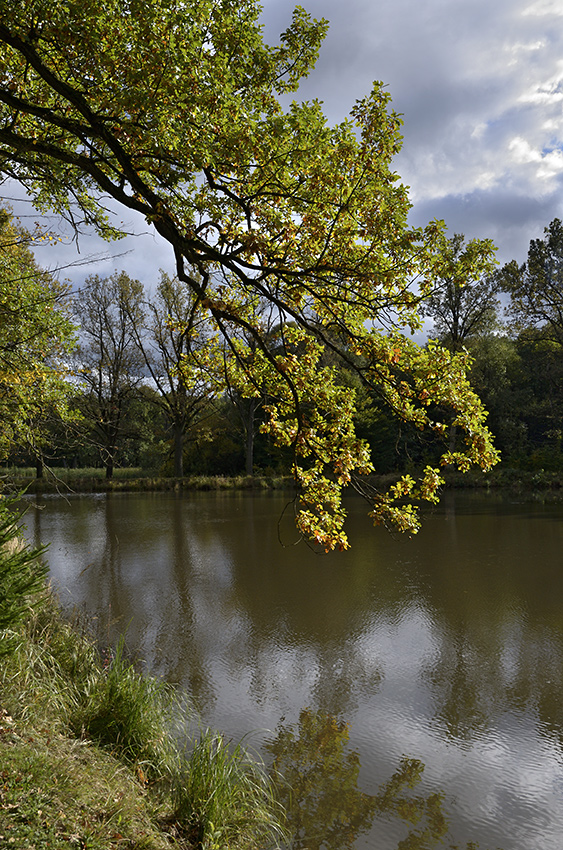 At the pond - larger format