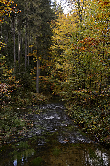 "Kirnitzsch" - smaller format
