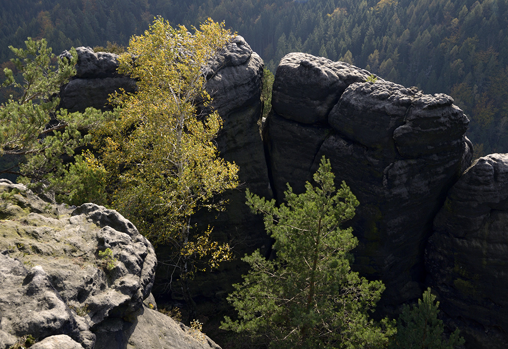 On the rock - larger format