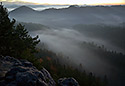 Fog in the valley - main link