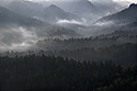 Mlha v údolí - hlavní odkaz