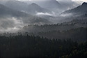 Fog in the valley - main link