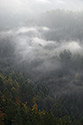 Fog in the valley - main link