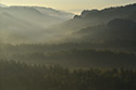 Mist in the valley - main link