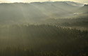 Mist in the valley - main link