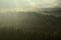 Mist in the valley - main link