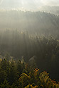 Mist in the valley - main link