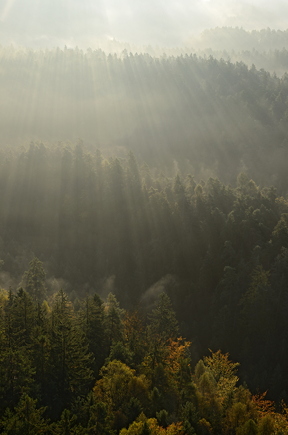 Mist in the valley - larger format
