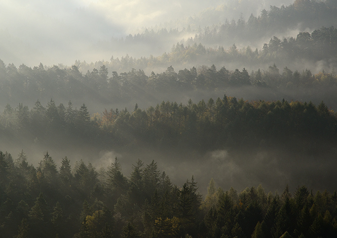 Mist in the valley - smaller format