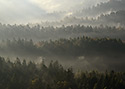 Mist in the valley - main link