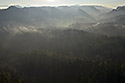 Mist in the valley - main link