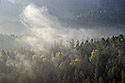 Mist in the valley - main link