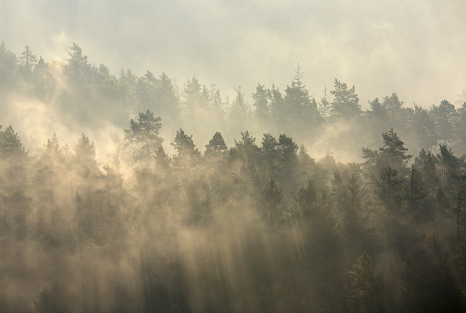 Mist in the valley - smaller format