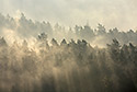 Mist in the valley - main link
