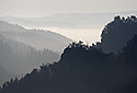 View to Bohemia - main link