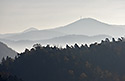 "Lu" and "Jedlov" - main link