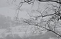 Non-view - main link
