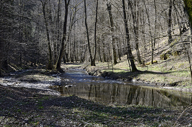 "Zbiroh Creek" - smaller format