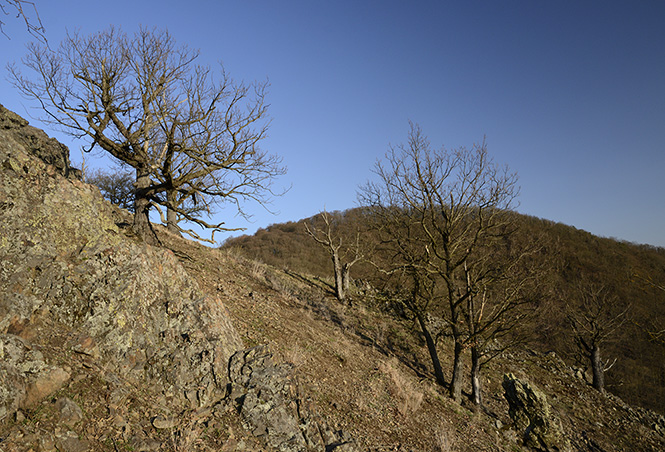 Na Tovickch skalch - men formt