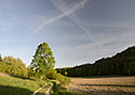 Under "Vlho" - main link