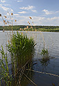 At the "ehu Pond" - main link
